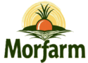 flux dev un logo moderne et naturel pour morfarm une marque ag 3