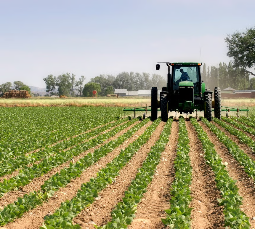 hcp moroccos agriculture faced persistent water deficit in 2023 d951yqyl5qso8rx7 hcp moroccos agriculture faced persistent water deficit in 2023 d951yqyl5qso8rx7