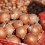 store 01jptzkysvgybc1ypx6f0qqb9n assets 1742943371785 images10